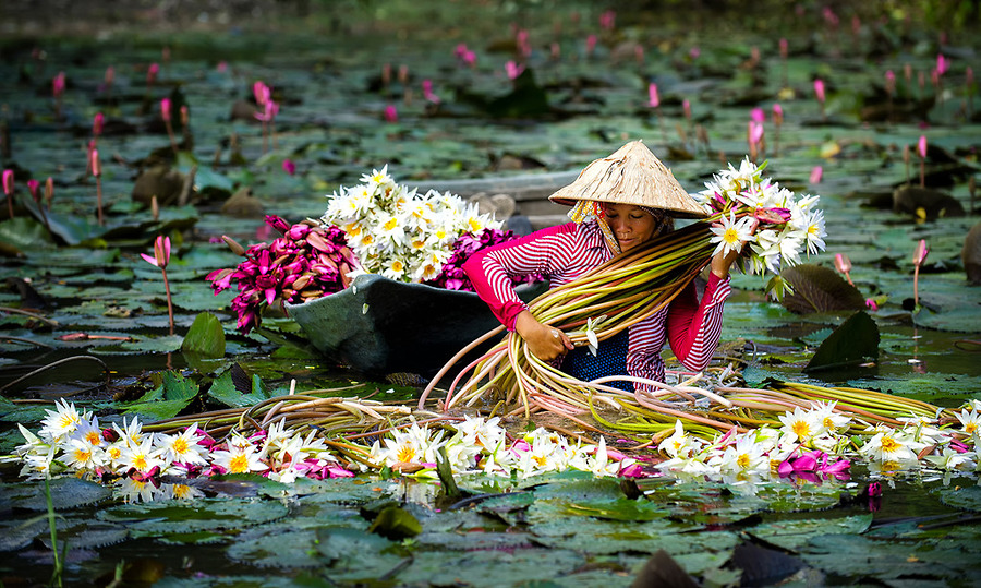 Văn hóa Nam Bộ